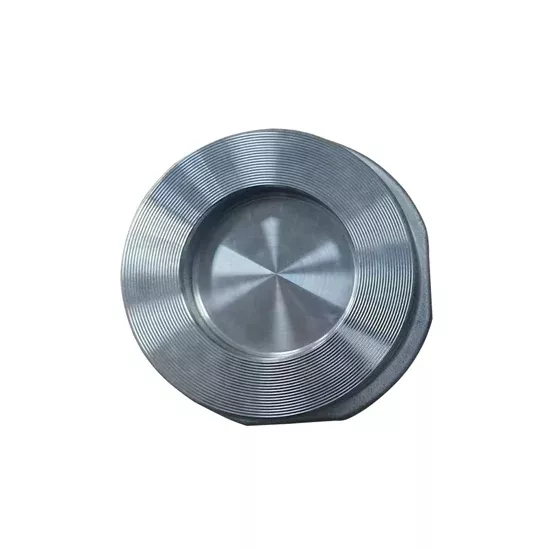1-1/2″ Stainless Steel Wafer Check Valve