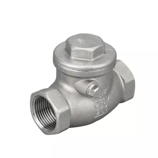 1″ Stainless Steel Swing Check Valve, Horizontal