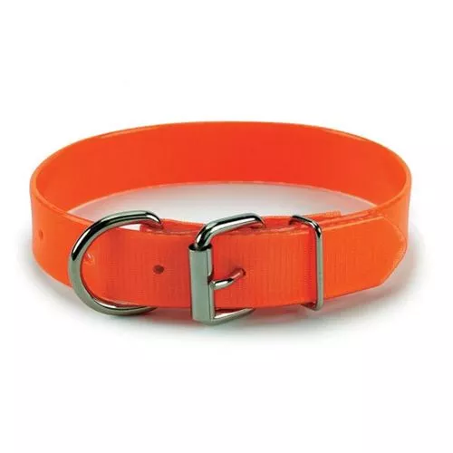 1" x 17" Poly-Coat Hunting Collar, Orange