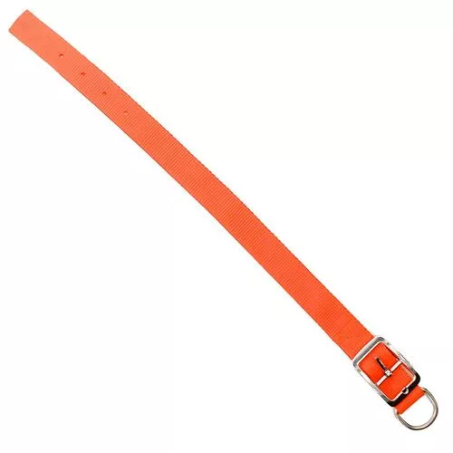 1" x 18" Double-Web Nylon Hunting Collar, Orange