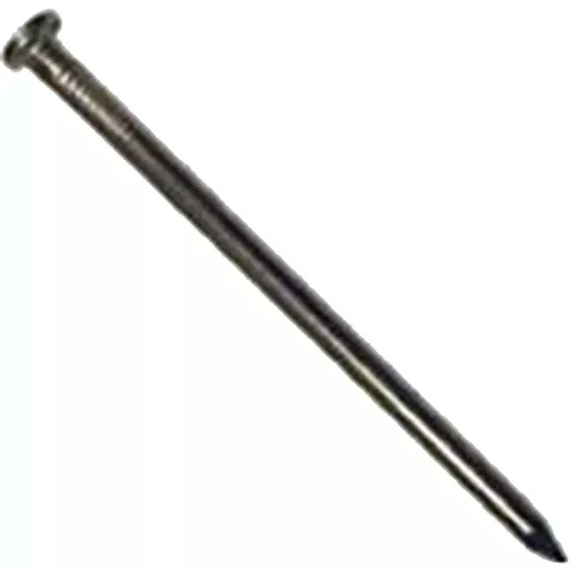 20d X 4 In. Bright Steel Common Nails, 5 Lb Box, Model 0053205