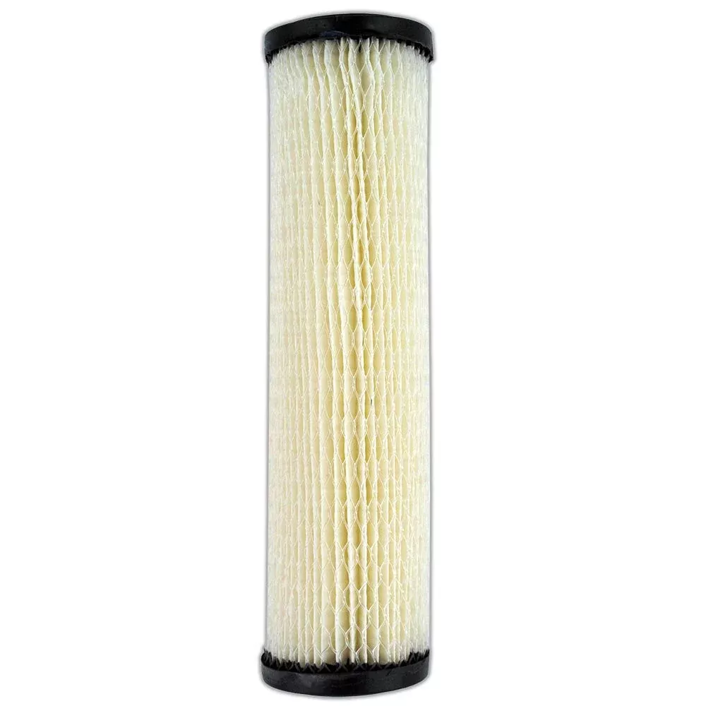 9 3/4" Omnifilter RS1-SS Pleated Cellulose 20 Mic Filter