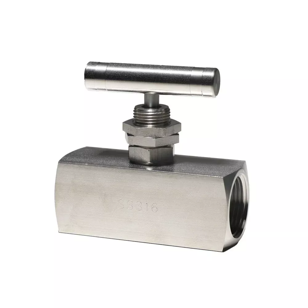 AXEON Needle Valve 316L Stainless Steel 3/4" FNPT