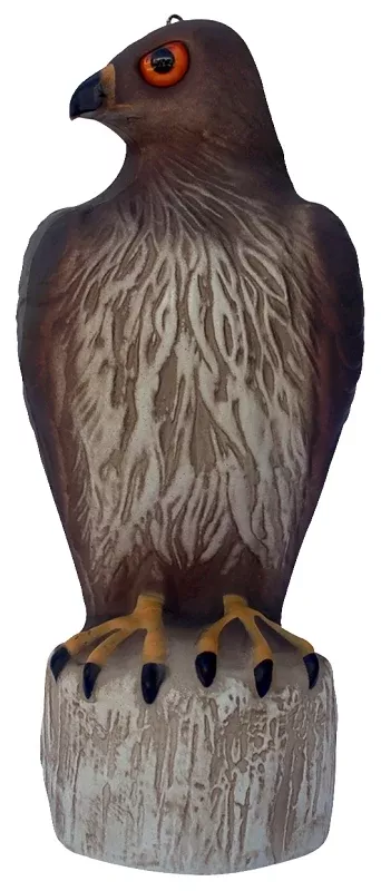 Bird-B-Gone MMRTH1 Hawk Decoy, Repels: Pest Birds