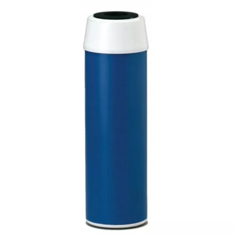 Everpure Costguard - CGT-10 (GAC-10) - Replacement Water Filter