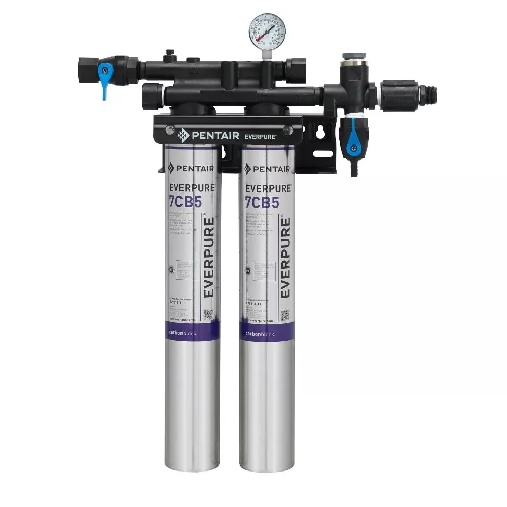 Everpure Kleensteam II Twin w/o Feeder