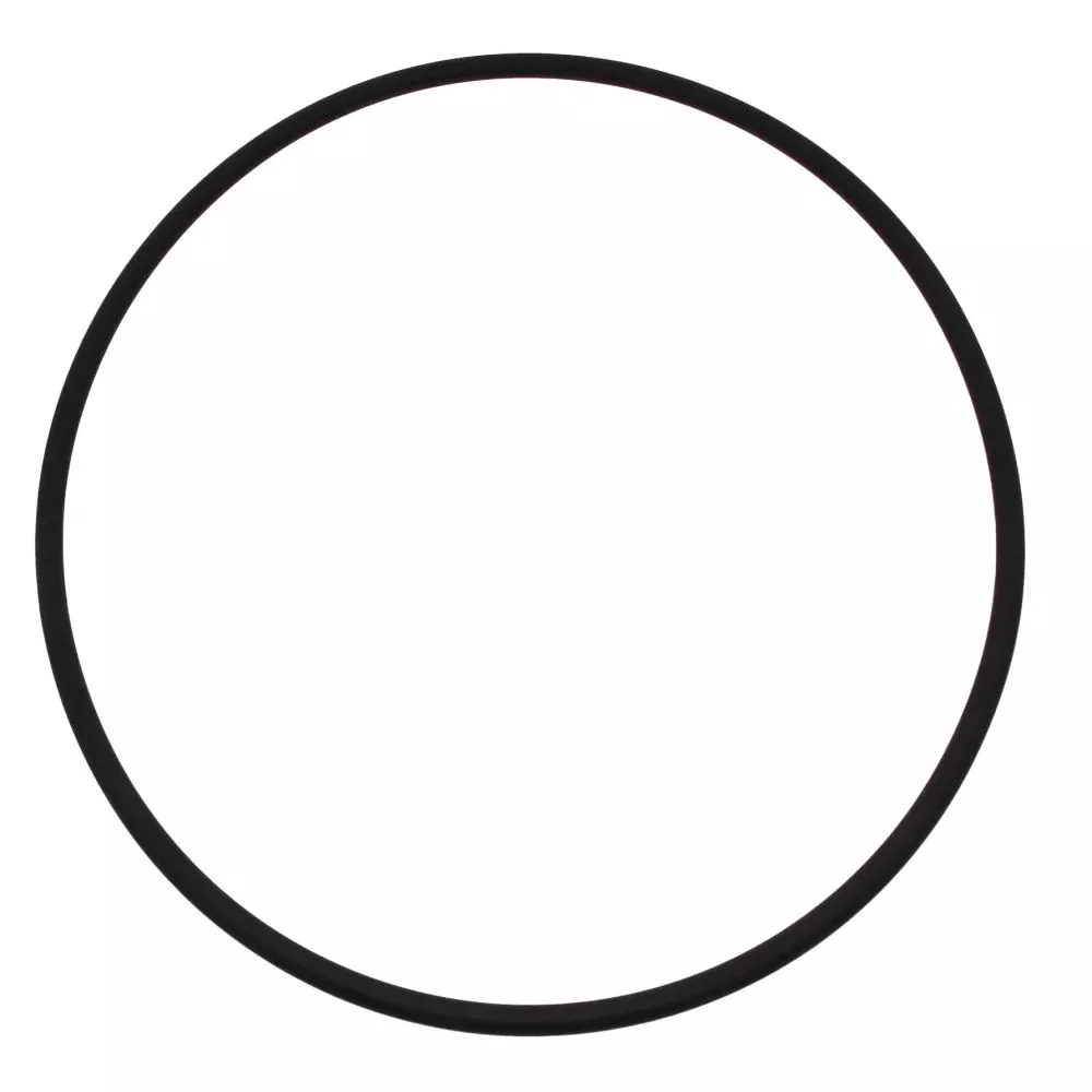 Gasket FDA Buna Clamp Style