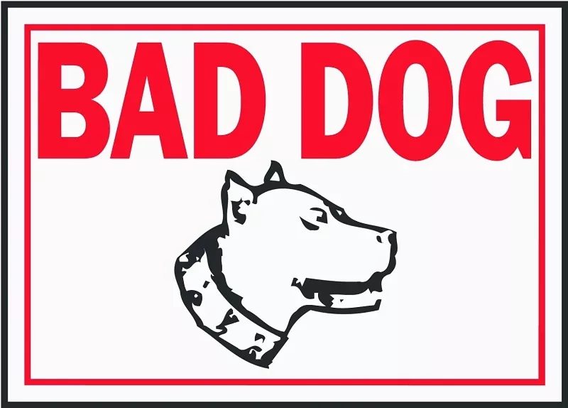 Hy-Ko SS-11 Identification Sign, Rectangular, BAD DOG, Red Legend, White Background, Aluminum, Pack of 12