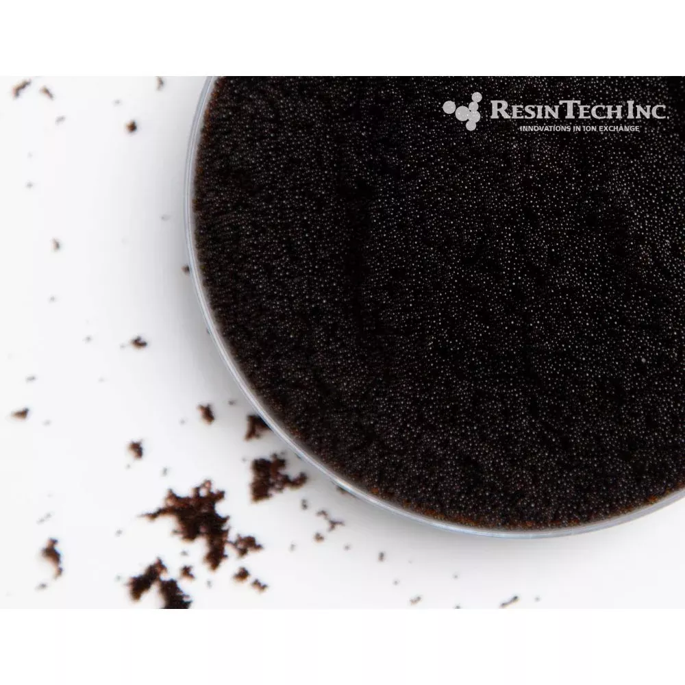Resintech CGS-100-BLK 1 cu ft Standard Mesh Resin