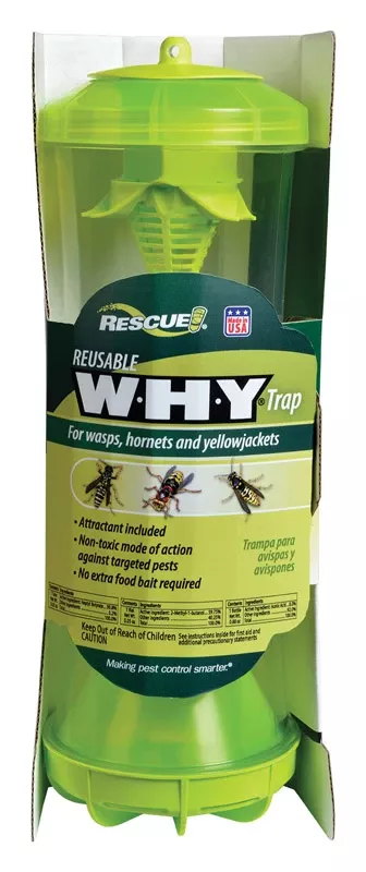 Why Trap For Wasps, Hornets, And Yellowjackets