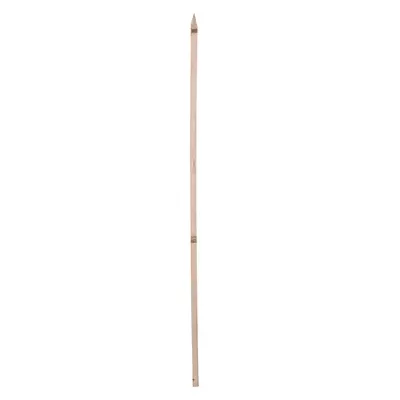 Wood Garden Stake, 5-ft.
